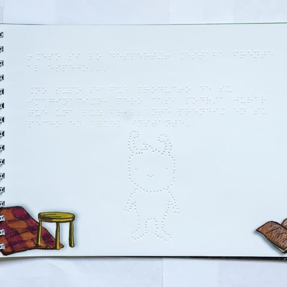 Libro inclusivo - El Gran Secreto - Imagen 3