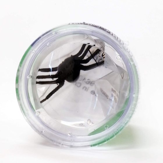 VISOR DE INSECTOS TARRO LUPA - Imagen 3