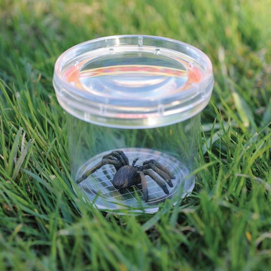 VISOR DE INSECTOS TARRO LUPA