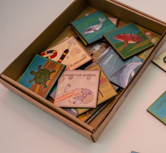 RECORDARÉ Juego de memoria con animales autóctonos - Imagen 4