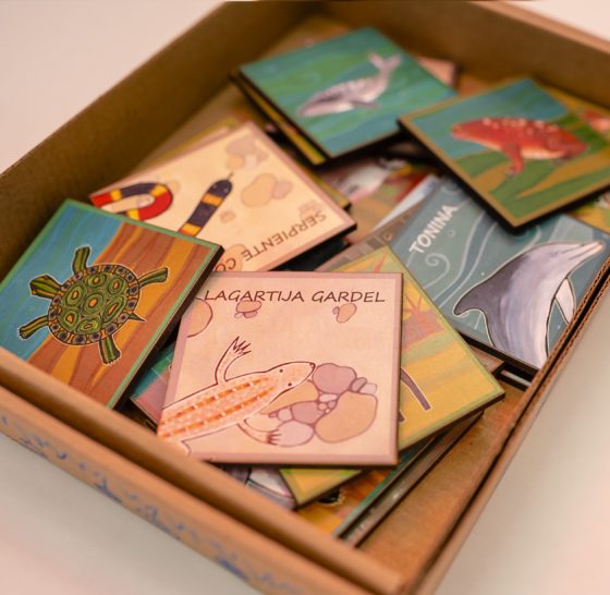 RECORDARÉ Juego de memoria con animales autóctonos - Imagen 2