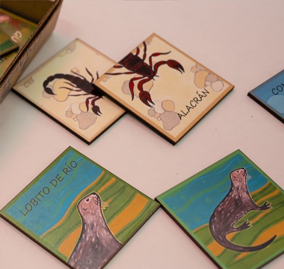 RECORDARÉ Juego de memoria con animales autóctonos - Imagen 3