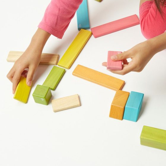 Tegu Juego de 24 piezas magnéticas de madera Tints - Imagen 3