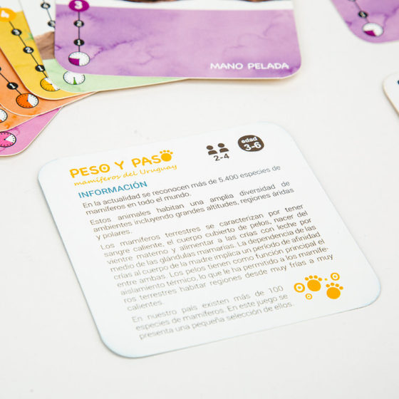 Cartas PESO Y PASO mamíferos de Uruguay - Imagen 3