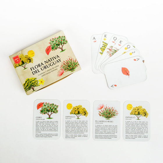 Juego de cartas Flora nativa de Uruguay - Imagen 2