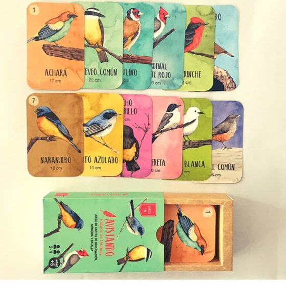 Cartas Avistando Aves del Uruguay - Imagen 4