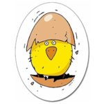 Juego de cartas Piou Piou - Djeco - Imagen 6