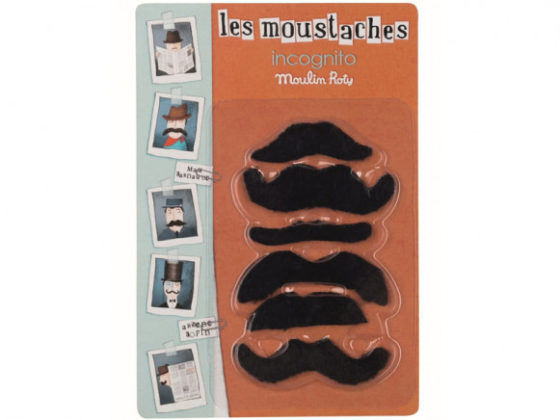 Juego de bigotes de 6 piezas