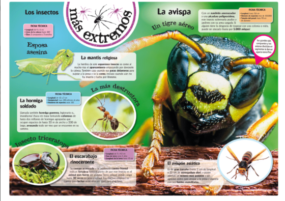 Libro gigante - Mega animales extremos - Imagen 3