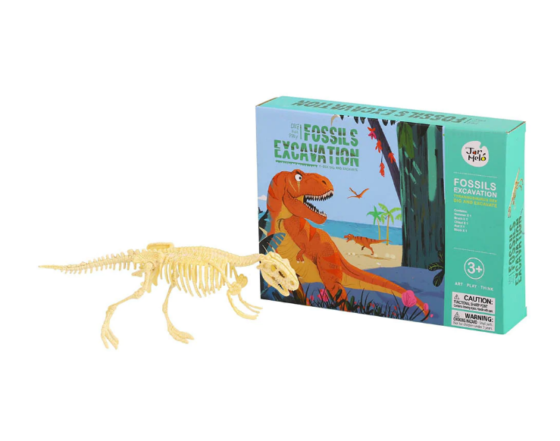 Kit excavación dinosaurio fosil