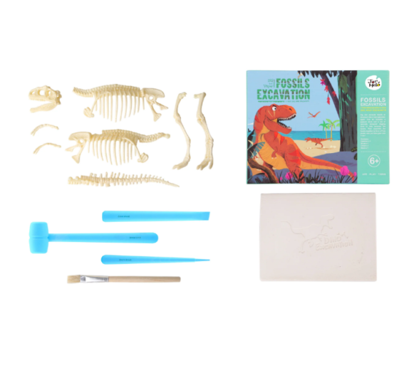 Kit excavación dinosaurio fosil - Imagen 3